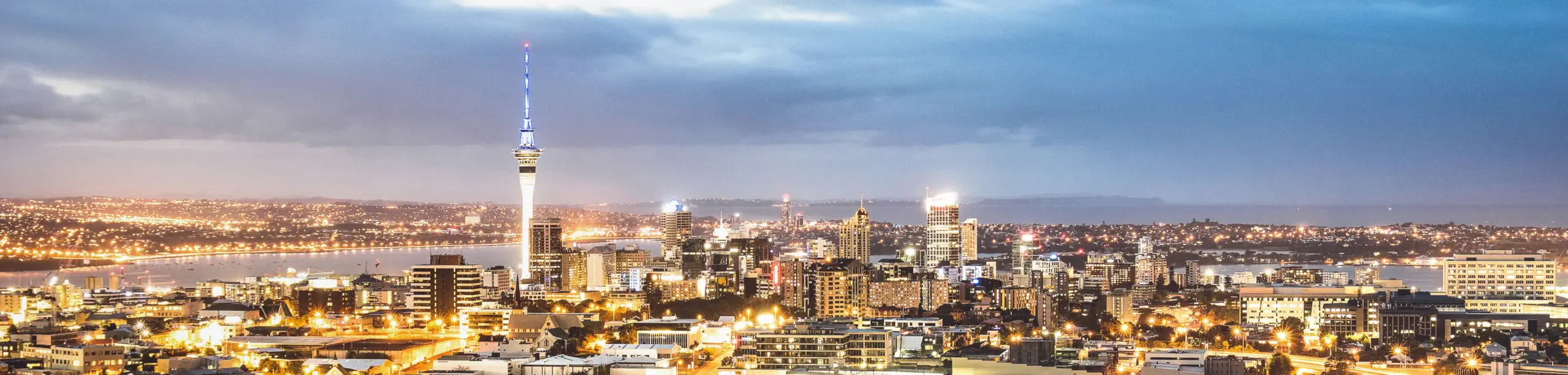 auckland rental car 23300