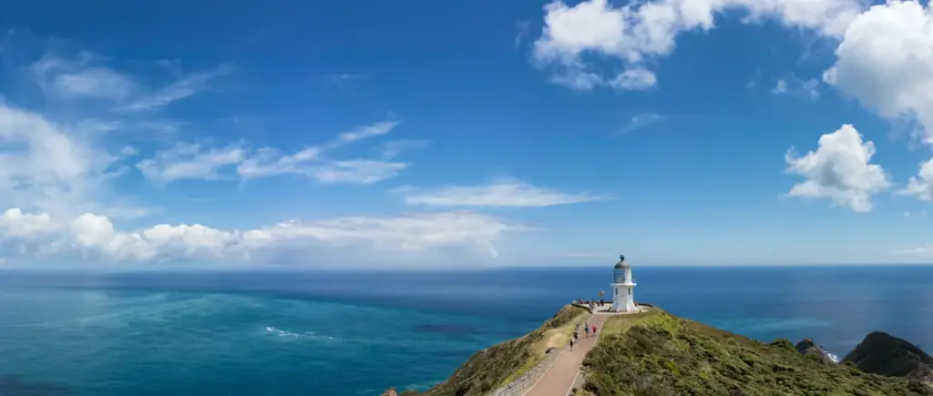 Auckland Cape Reinga Car Rental