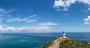 Auckland to Cape Reinga – One Unforgettable Road Trip
