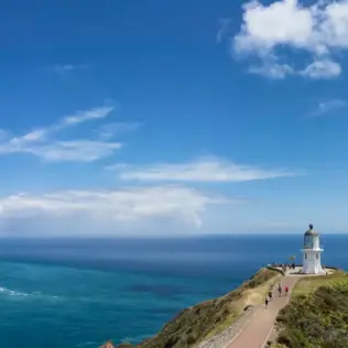 Auckland Cape Reinga Car Rental