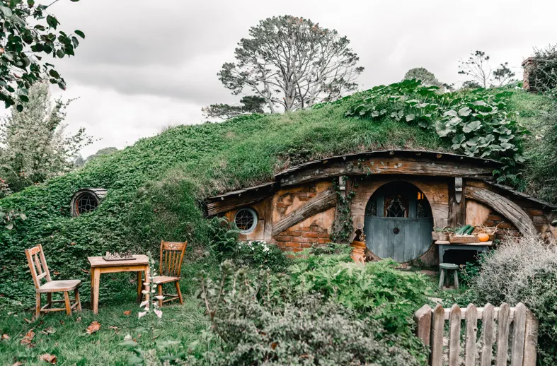 rental-cars-day-trips