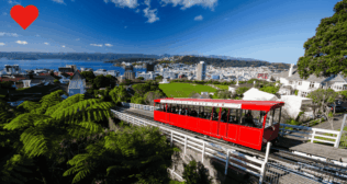 5 Best 1-Day Road Trips from Wellington