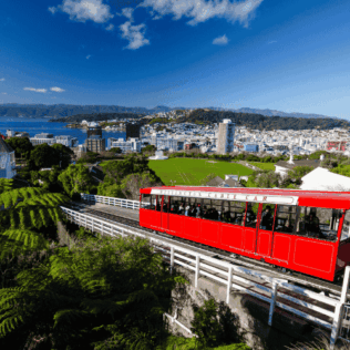 Wellington Rental Cars NZ 6656566